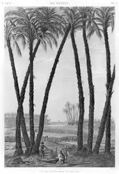 Ansicht der Ruinen von Memphis vom Südosten aus gesehen, graviert von Jean Louis Delignon (1755-1804)